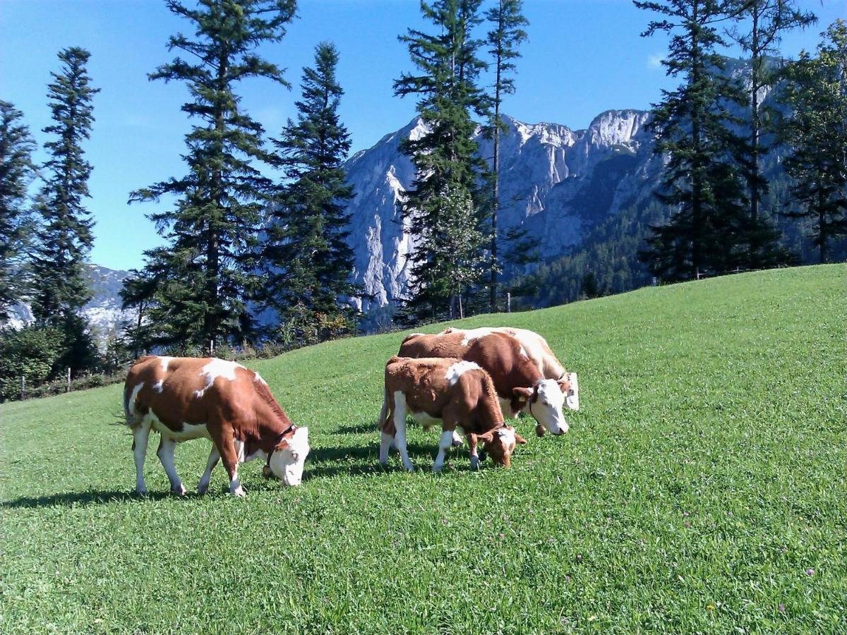 Ferienwohnungen Seraphine Und Theresia Grundlsee Exterior foto