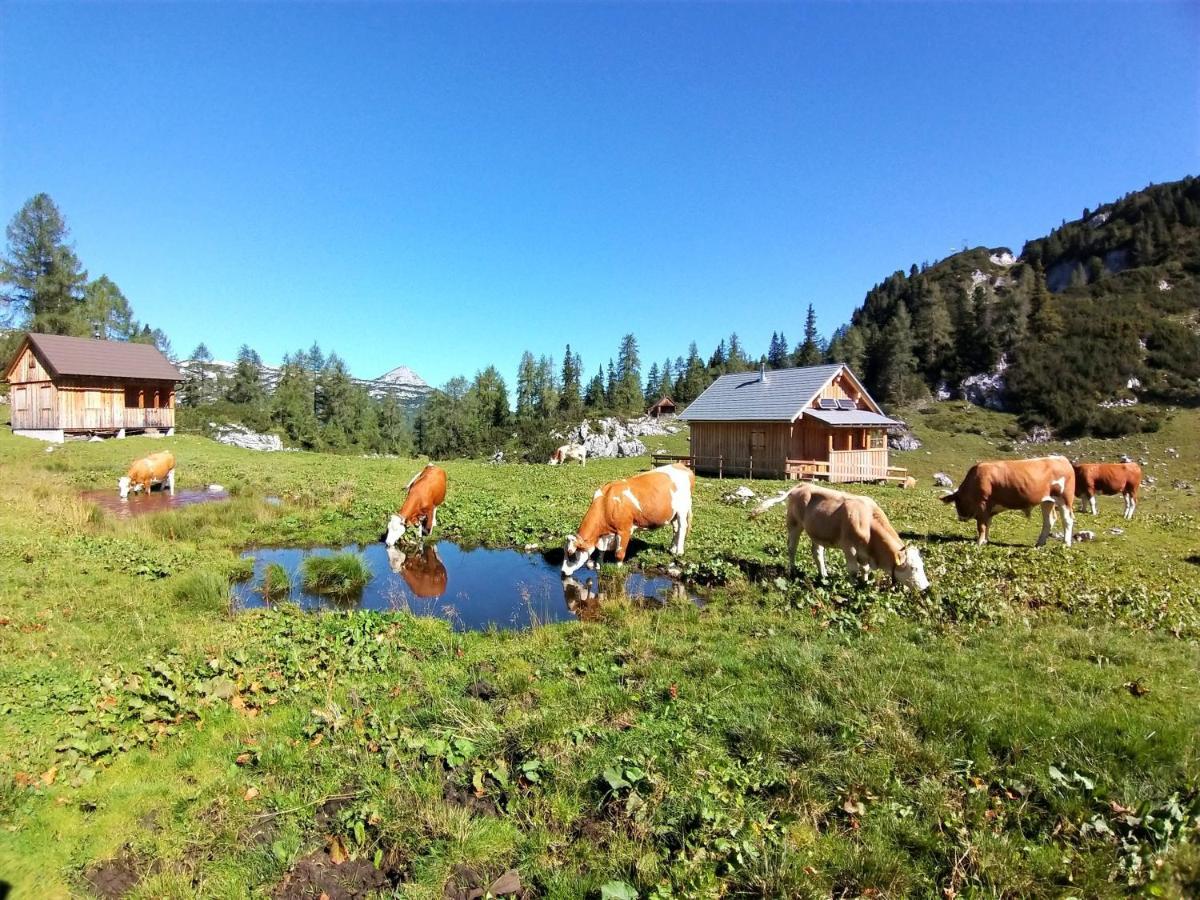Ferienwohnungen Seraphine Und Theresia Grundlsee Exterior foto